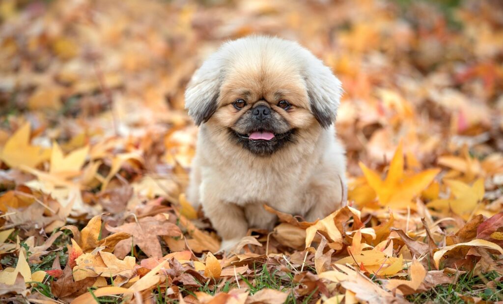 ノルマが辛い人は営業に向いてない理由とは？