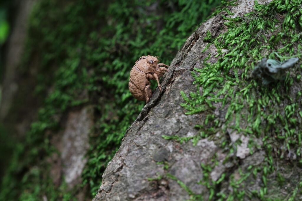 ノルマ未達成は退職理由になる場合、どのように考えるべき？