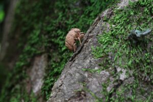 ノルマ未達成は退職理由になる場合、どのように考えるべき？