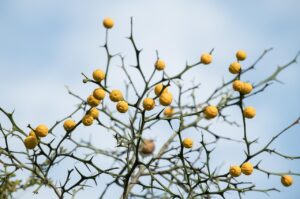 未経験でもノルマなしの仕事はどんな職種があるの？