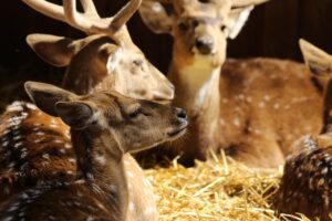 プレッシャーをかけられてストレスが限界の時、どう対処すればいい？