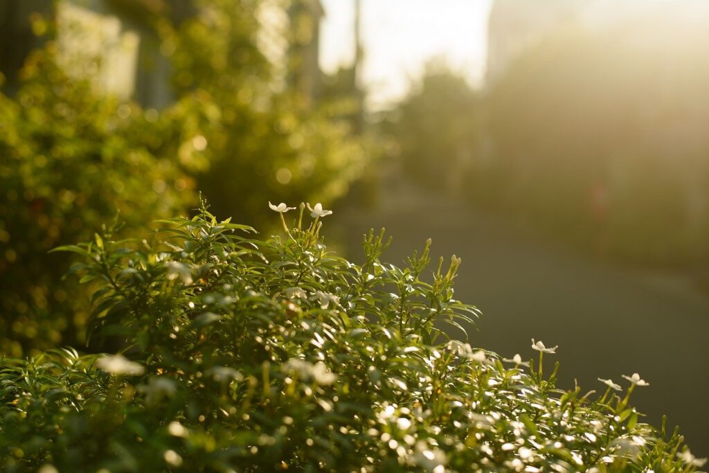 人間関係が落ち着いた職場の作り方とは？