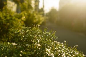 人間関係が落ち着いた職場の作り方とは？