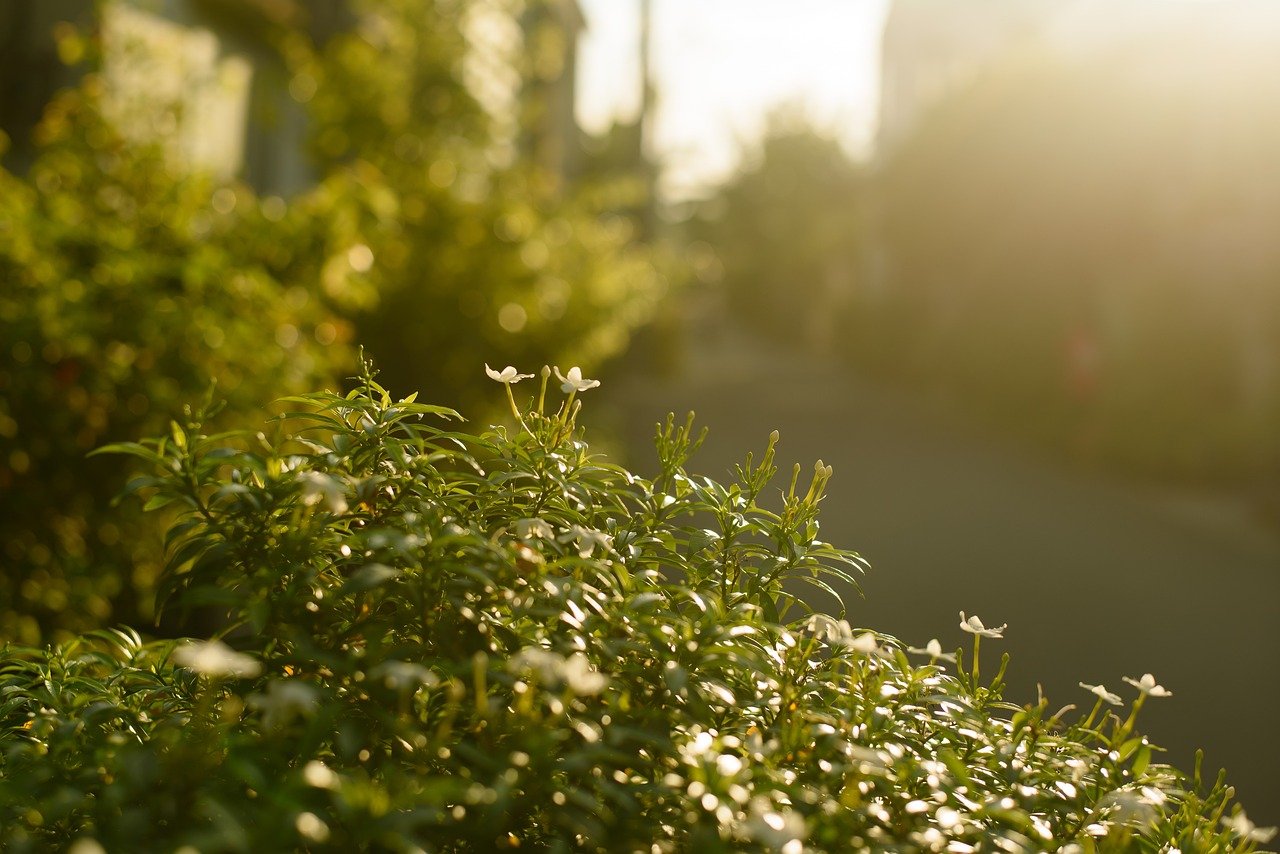 人間関係が落ち着いた職場の作り方とは？