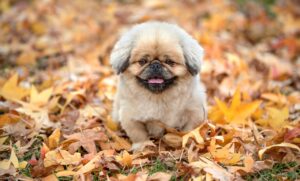 上司が怖いと感じる理由とそのストレス解消法は？