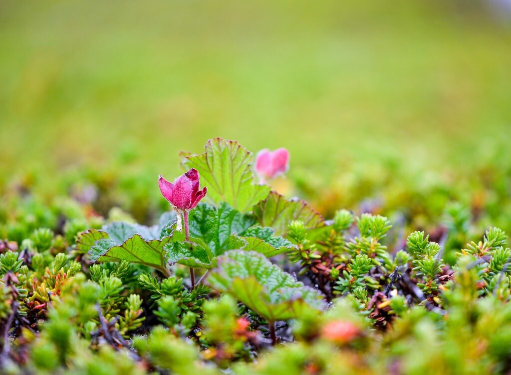 クラウドソーシングの比較で知っておくべきポイントは？