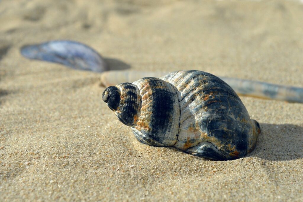 特別休暇の利用方法について知っておくべきポイントは？