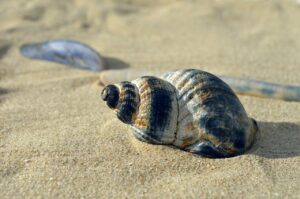 特別休暇の利用方法について知っておくべきポイントは？