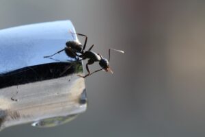 コミュ力を活かした働き方診断とは？